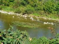 IMG-20210918-WA0008.jpg