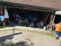 IMG-20240910-WA0017.jpg