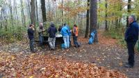 DSC00247.jpg