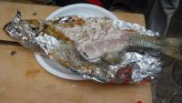 DSC00600.jpg